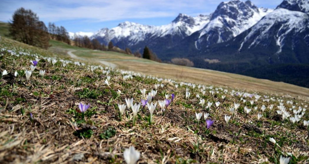 Frühling im Unterengadin Frühling im Unterengadin