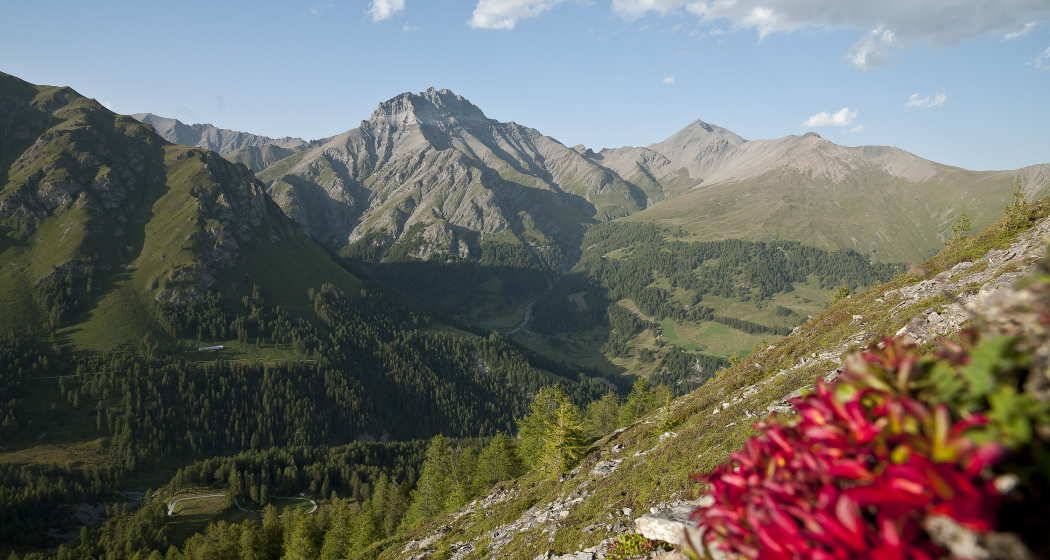 Der imposante Piz Tschütta Der imposante Piz Tschütta