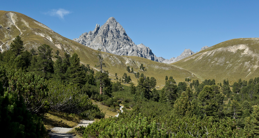 Von S-charl zum Ofenpass (oua_17631458_image) Von S-charl zum Ofenpass (oua_17631458_image)