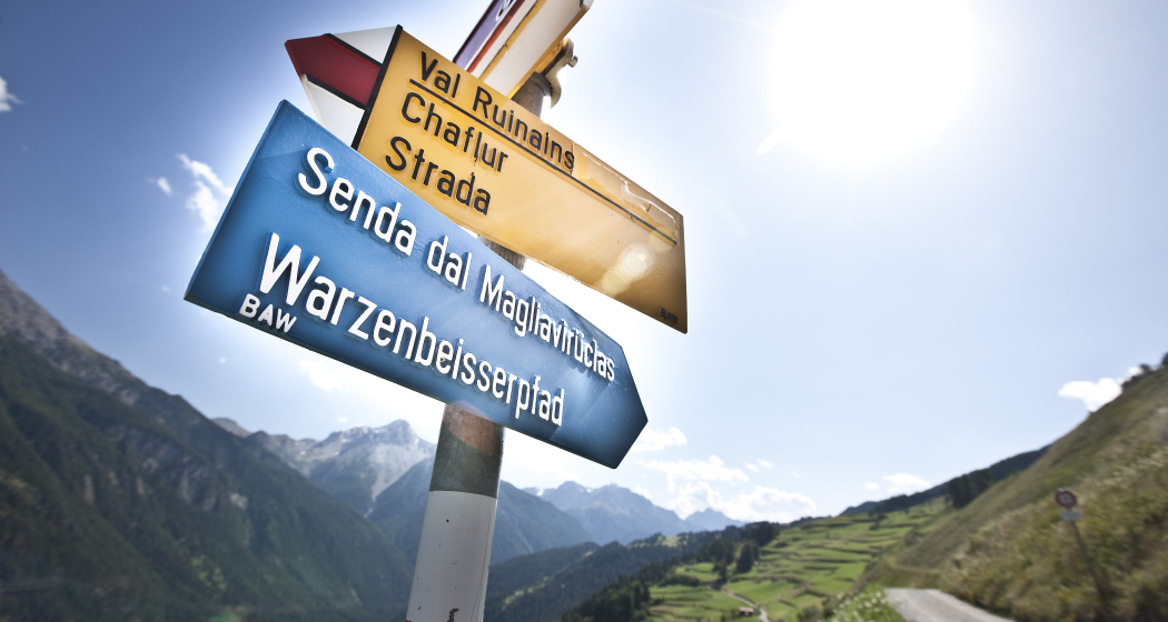 Warzenbeisserweg – «senda dal magliavirüclas» (oua_17632748_image) Warzenbeisserweg – «senda dal magliavirüclas» (oua_17632748_image)