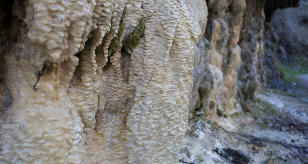 Clozza-Schlucht: Dem Ursprung entgegen (oua_17759875_image) Clozza-Schlucht: Dem Ursprung entgegen (oua_17759875_image)