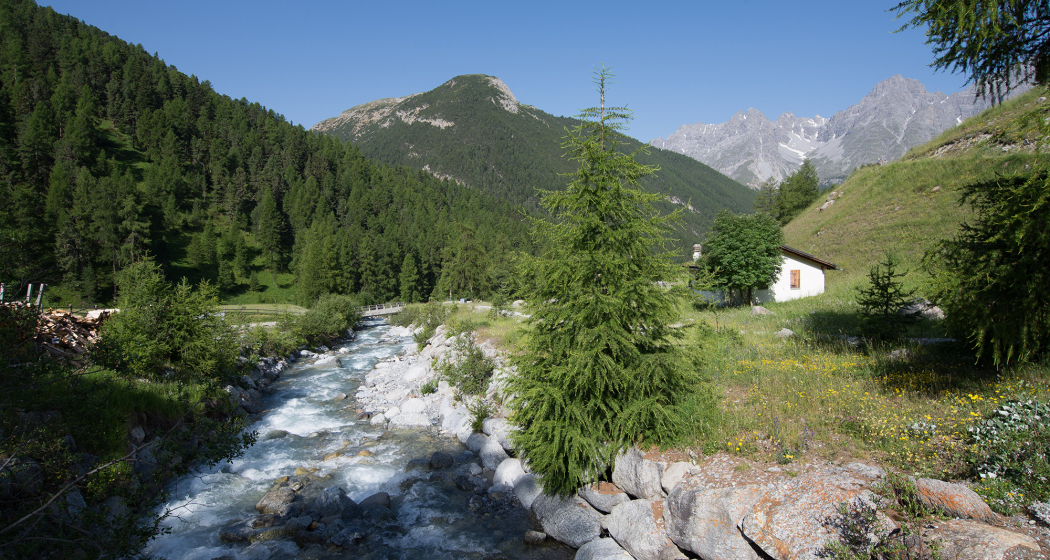 S-charl – Alp Sesvenna (retour) (oua_17790551_image) S-charl – Alp Sesvenna (retour) (oua_17790551_image)