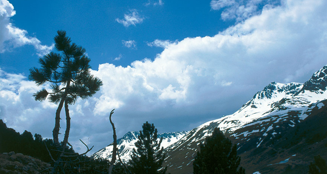 Scuol – S-charl – Süsom Givè (oua_1959897_image)