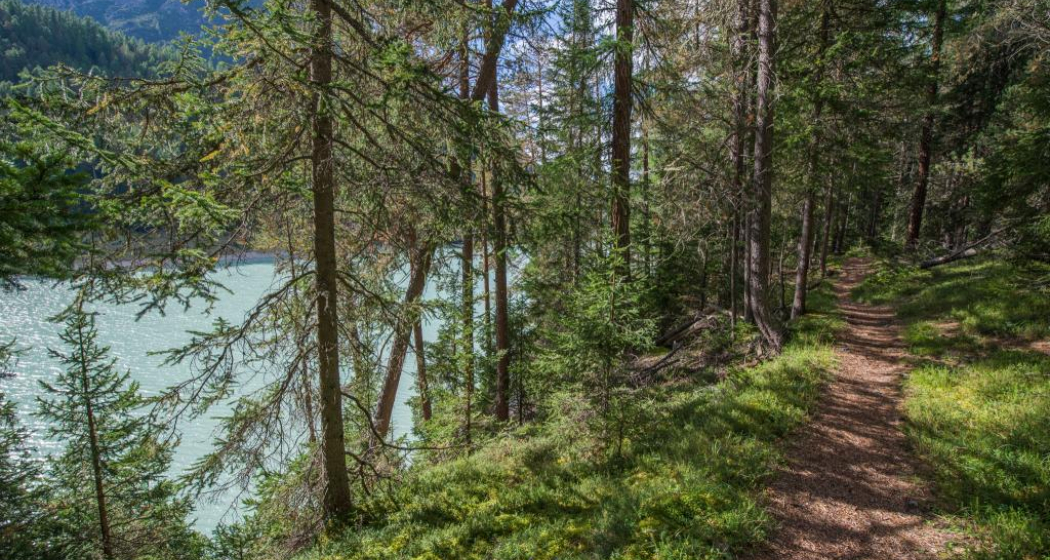 Der Weg nach Margun Grimmels führt vorbei am türkis schimmernden Wasser des Ausgleichsbeckens Ova Spin. Der Weg nach Margun Grimmels führt vorbei am türkis schimmernden Wasser des Ausgleichsbeckens Ova Spin.