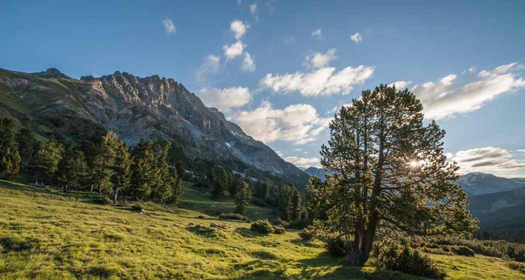 Nationalpark: Val Mingèr – Sur il Foss – Fuorcla Val dal Botsch – Ofenpassstrasse (oua_22674607_image) Nationalpark: Val Mingèr – Sur il Foss – Fuorcla Val dal Botsch – Ofenpassstrasse (oua_22674607_image)