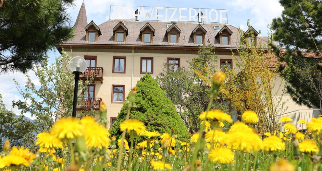 Hotel Schweizerhof (oua_23547550_image) Hotel Schweizerhof (oua_23547550_image)