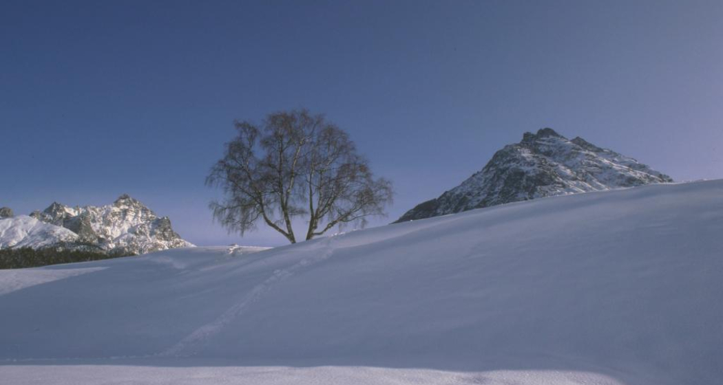 Lavin – Alp Zeznina (Rundtour) (oua_24318562_image) Lavin – Alp Zeznina (Rundtour) (oua_24318562_image)