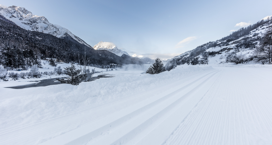 Langlaufen auf der Loipe Scuol-Martina. Langlaufen auf der Loipe Scuol-Martina.
