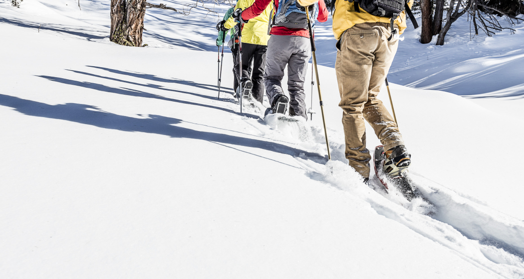 Lavin – Plan dal Bügl (Rundtour) (oua_33305360_image)