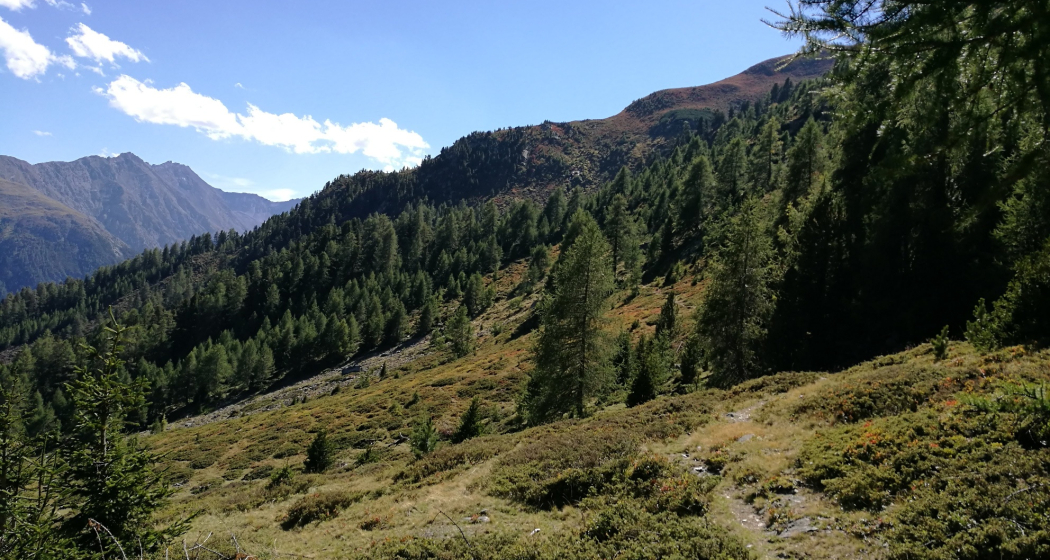 Brail – Alp Barlas-ch – Alp Munt – Zernez (oua_37687247_image) Brail – Alp Barlas-ch – Alp Munt – Zernez (oua_37687247_image)