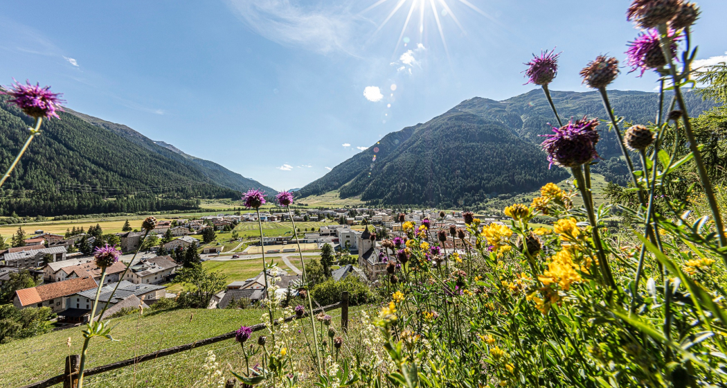 Zernez Zernez