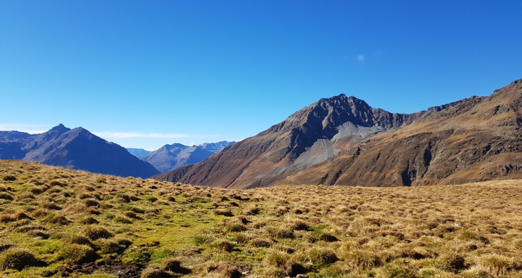Lai Blau Trailrunning Lai Blau Trailrunning
