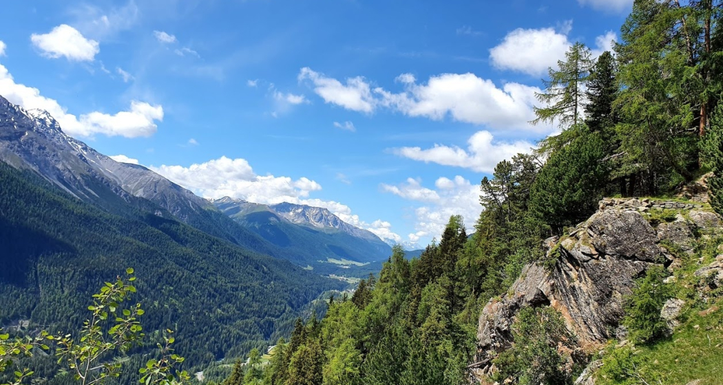 Brail – Alp Barlas-ch – Val Pülschezza – Zernez (oua_51334167_image)