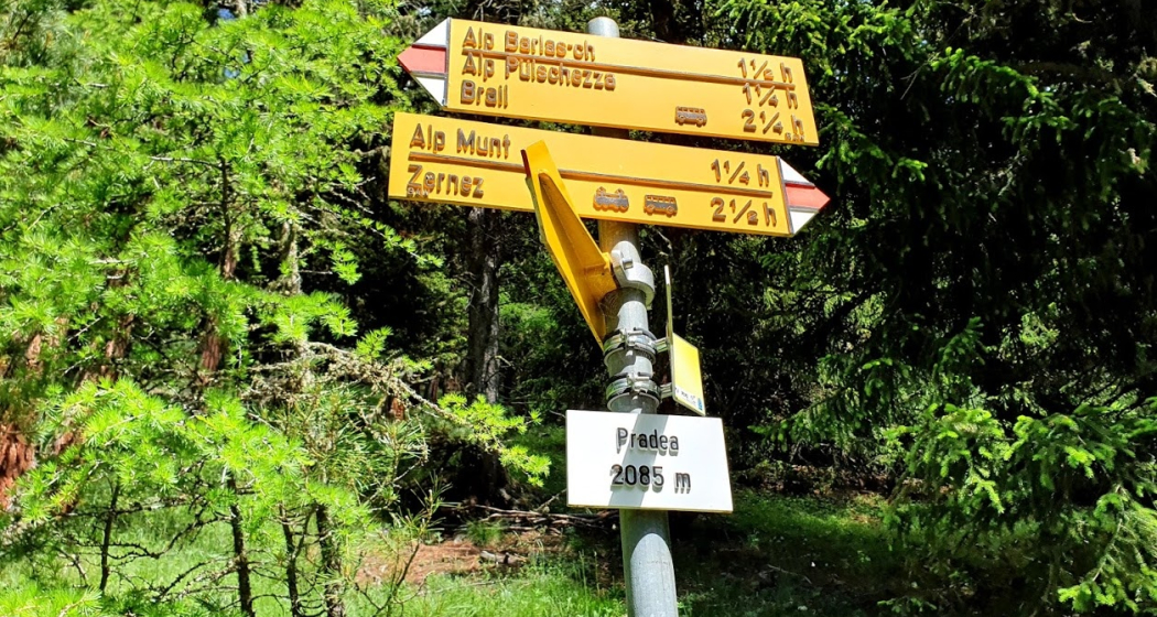 Brail – Alp Barlas-ch – Val Pülschezza – Zernez (oua_51334168_image)