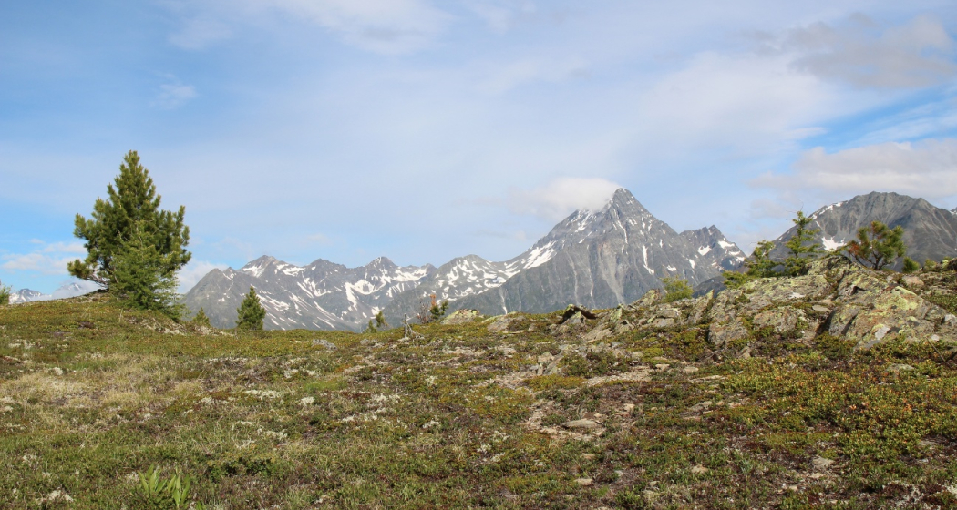 Muot la Sella: Panoramablick Unterengadin Muot la Sella: Panoramablick Unterengadin