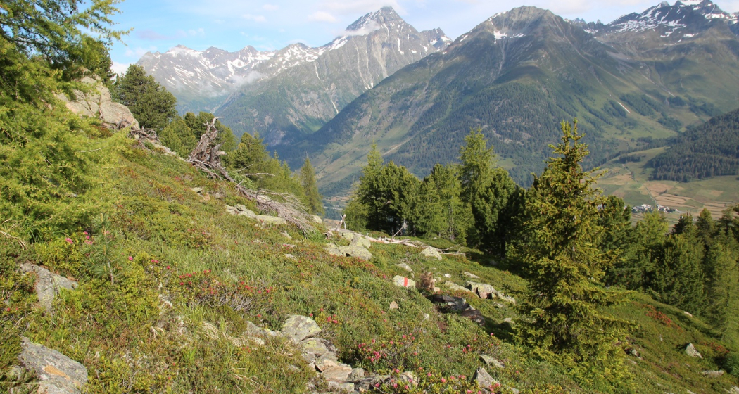 Muot la Sella: Panoramablick Unterengadin Muot la Sella: Panoramablick Unterengadin