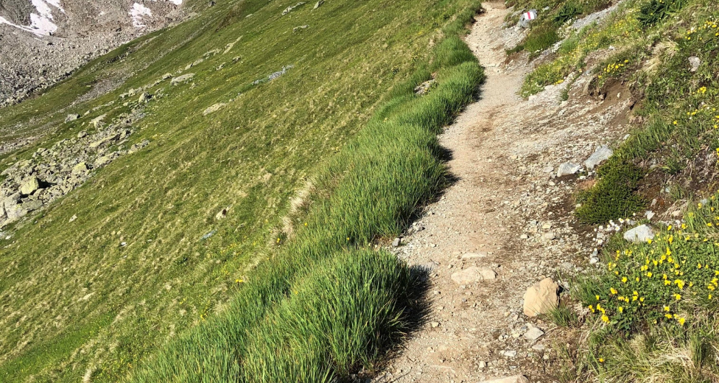 Schwarzhorn Schwarzhorn
