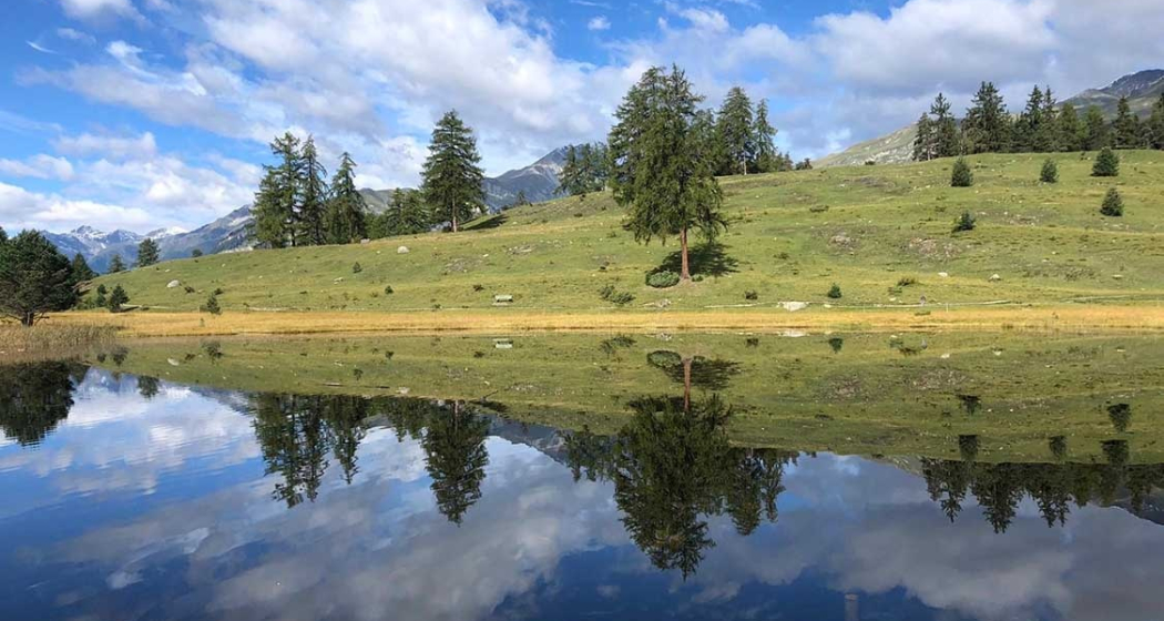 matossi.ch (oua_56888219_image)