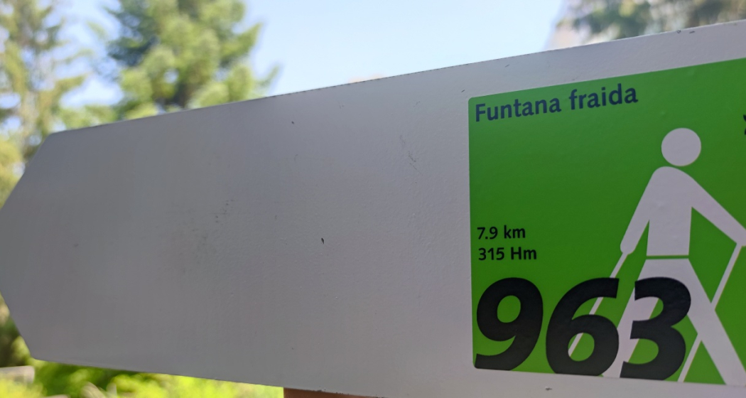 Wegweiser Nordic Walking Tour Nr. 963