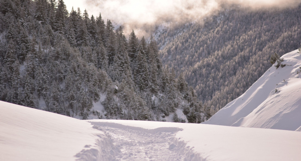 Winterwandern im Val S-charl Winterwandern im Val S-charl