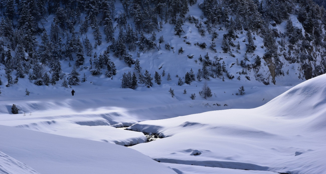 Winterwandern im Val S-charl Winterwandern im Val S-charl