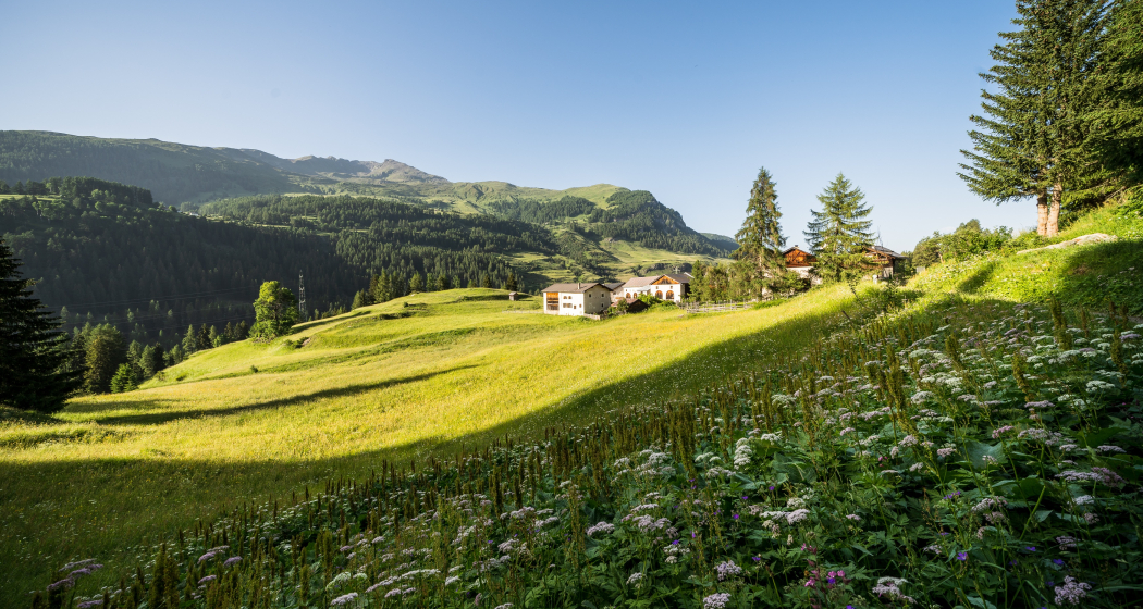 Ardez – Sur En d’Ardez – Giarsun (oua_72937964_image) Ardez – Sur En d’Ardez – Giarsun (oua_72937964_image)
