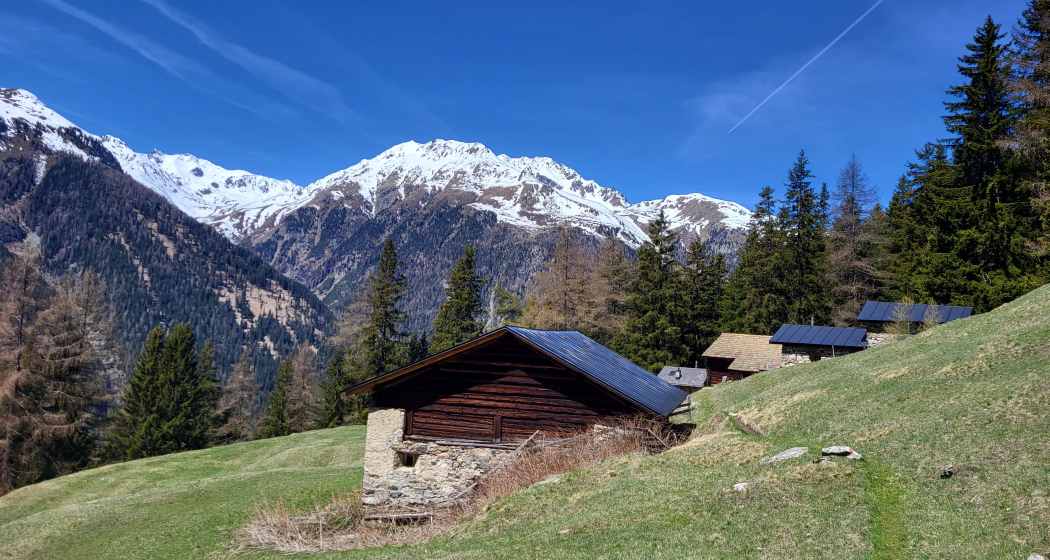 Zernez – Sivü (Rundweg) (oua_79460540_image) Zernez – Sivü (Rundweg) (oua_79460540_image)