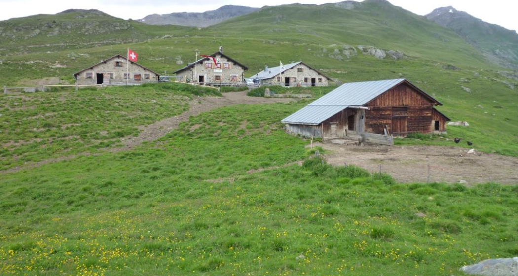 Ftan-Alp Laret Ftan-Alp Laret