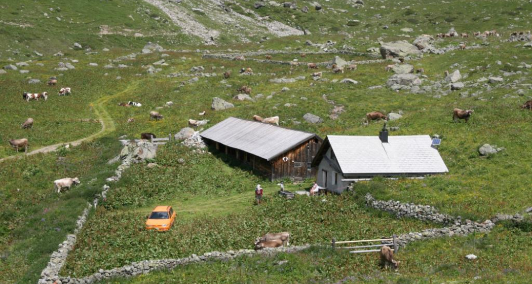Sennhütte Alp Urschai, Ftan Sennhütte Alp Urschai, Ftan