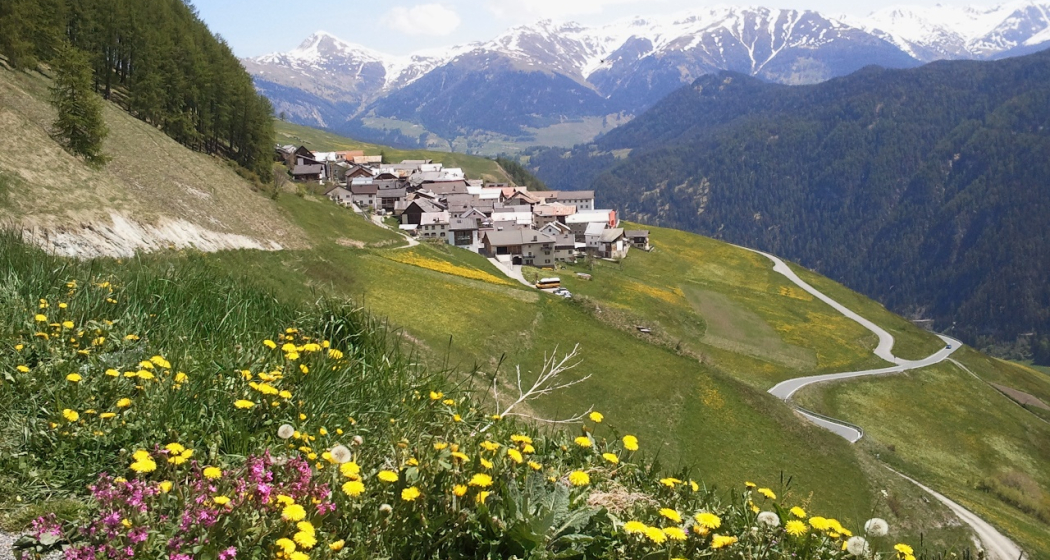 442.01 Engiadina Bassa Etappe 1 Susch - Ftan (oua_9061437_image)