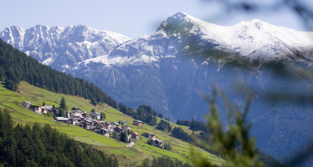 Piz Arina (oua_9631627_image)