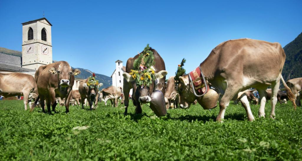 Nationalpark Panoramaweg Etappe 4: Süsom Givè – Il Fuorn [SchweizMobil-Nr. 45] (oua_9665454_image)