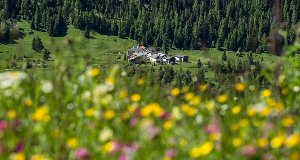 Tarasp – Innschlucht – Ardez Tarasp – Innschlucht – Ardez
