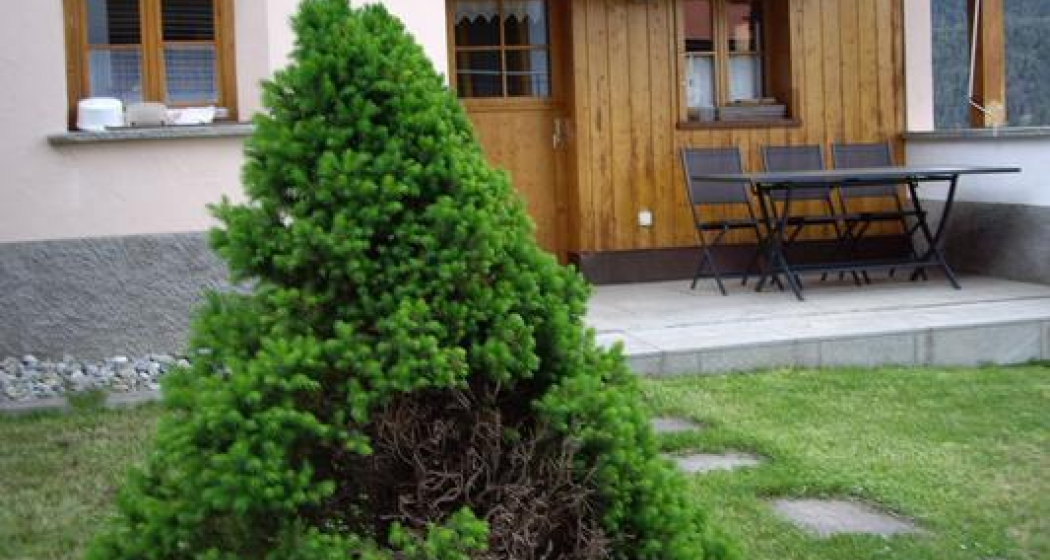 Ferienhaus Chasa Corgnuns (tom_tds00020010507211089_image) Ferienhaus Chasa Corgnuns (tom_tds00020010507211089_image)