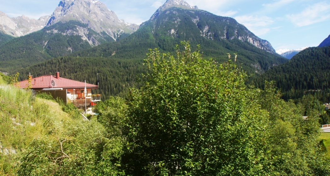Haus Haus