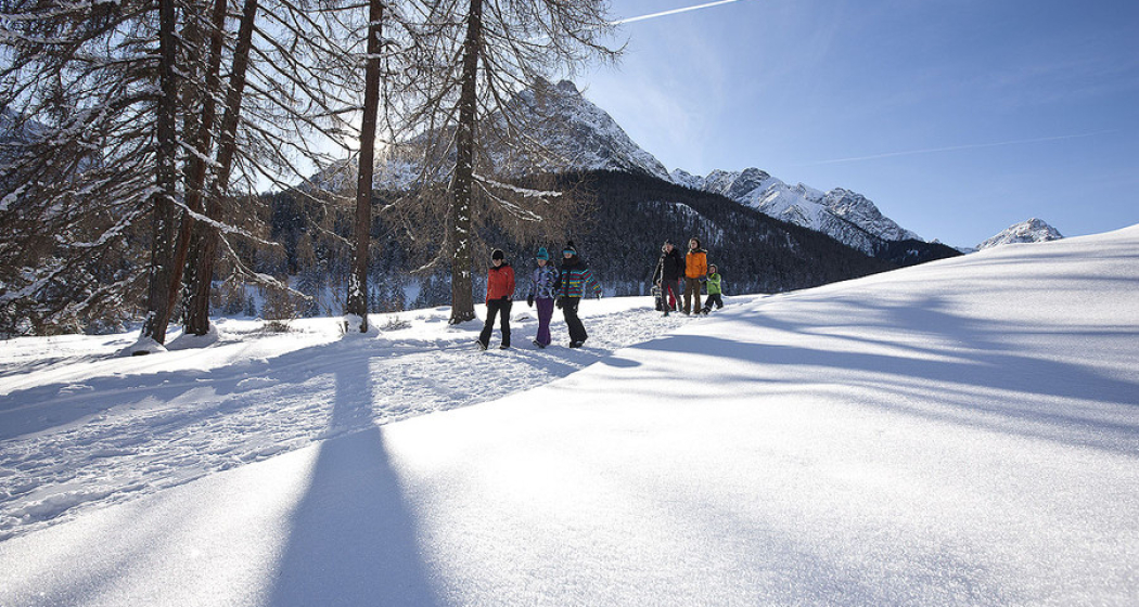 Winterwandern Winterwandern
