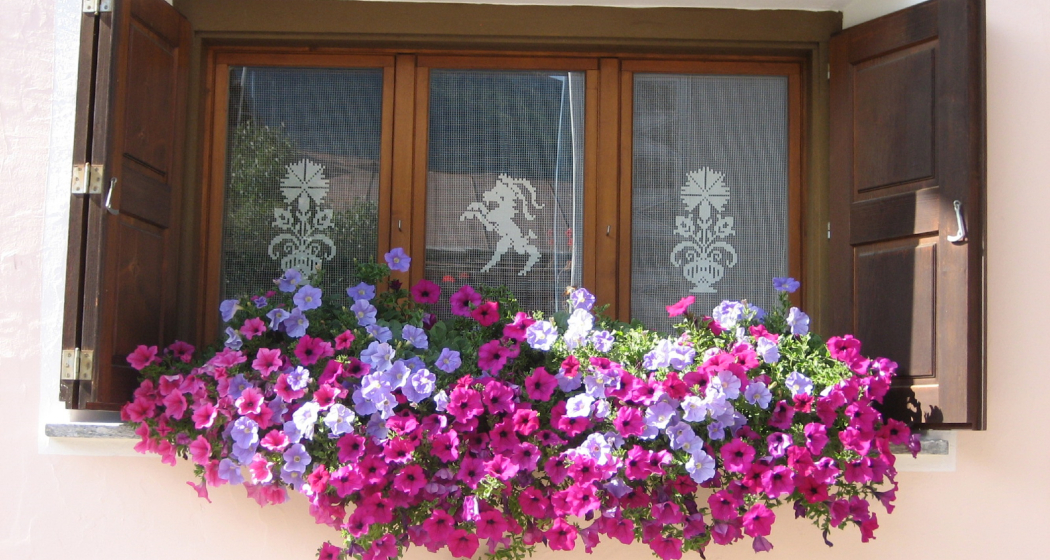 Aussenansicht Aussenansicht