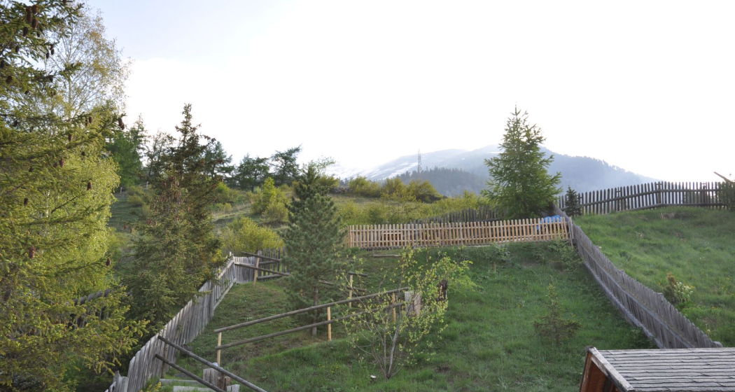 Garden Garden