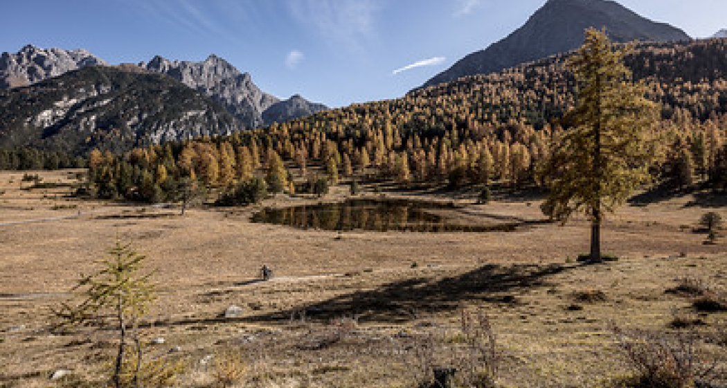 Region Herbst Region Herbst