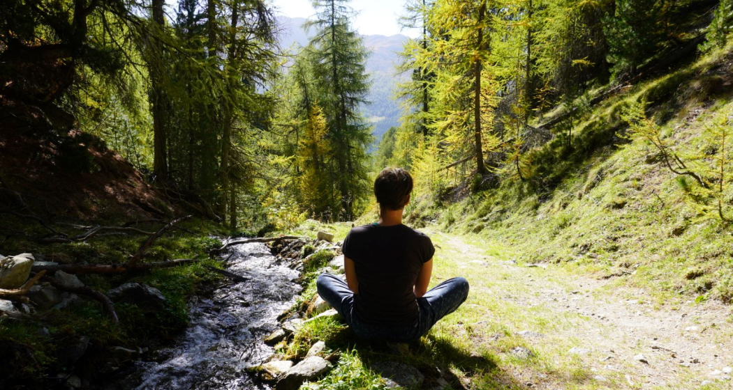 Naturresilienz-Training Naturresilienz-Training