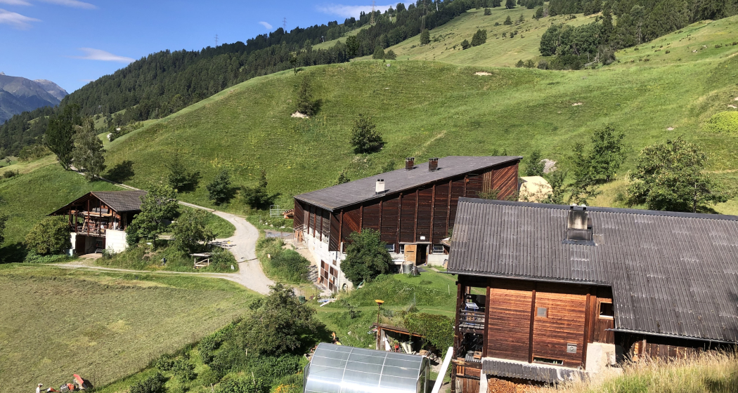 Sommer in Tanter Dossa Sommer in Tanter Dossa