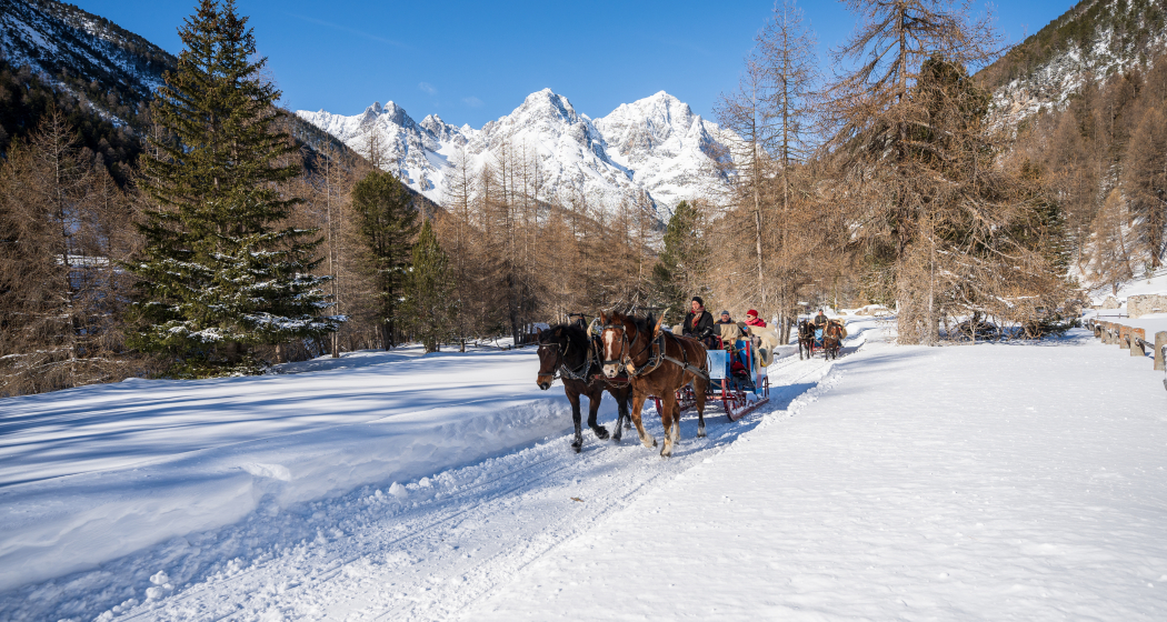 Romantische Pferdeschlittenfahrt ins Val S-charl (gdl_727322535_image) Romantische Pferdeschlittenfahrt ins Val S-charl (gdl_727322535_image)