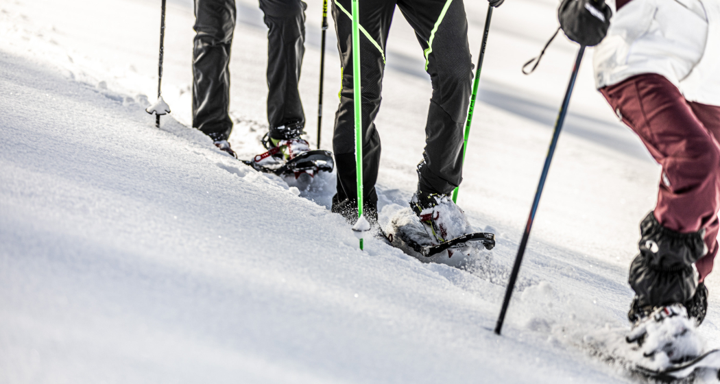 Halbtages-Schneeschuhtour Motta Naluns - Alp Clünas (gdl_727752632_image) Halbtages-Schneeschuhtour Motta Naluns - Alp Clünas (gdl_727752632_image)