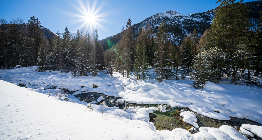 Romantische Pferdeschlittenfahrt ins Val S-charl (gdl_727755729_image) Romantische Pferdeschlittenfahrt ins Val S-charl (gdl_727755729_image)