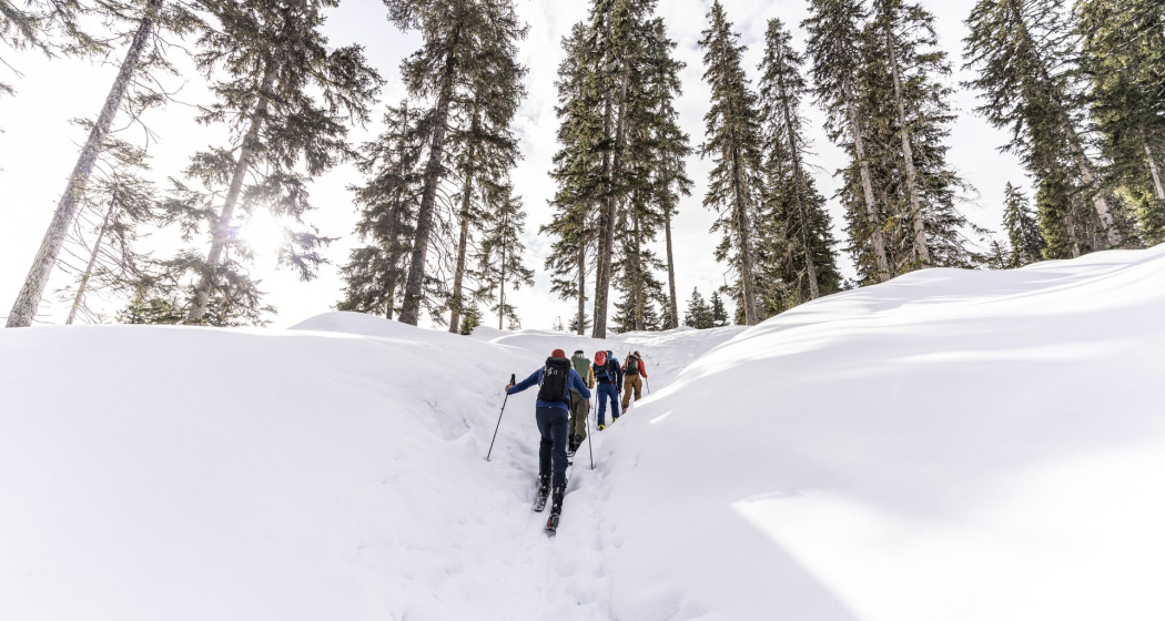 Skitouren für Anfänger*innen und Fortgeschrittene (gdl_833519810_image) Skitouren für Anfänger*innen und Fortgeschrittene (gdl_833519810_image)