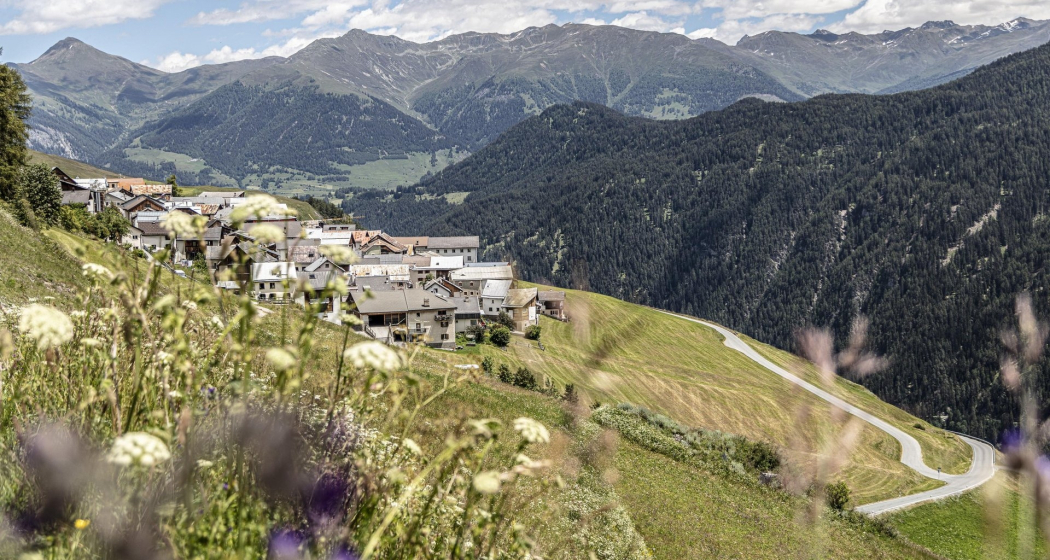 Engadiner Räucherstäbchen in Tschlin (gdl_872694910_image)