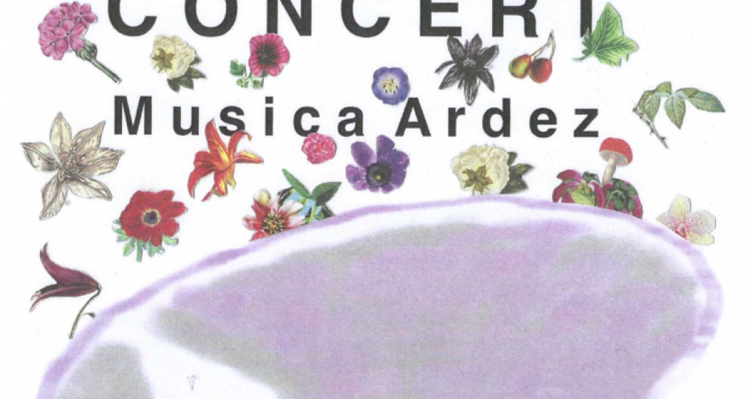 Concert al liber / Platzkonzert Musica Ardez (gdl_878285119_image) Concert al liber / Platzkonzert Musica Ardez (gdl_878285119_image)