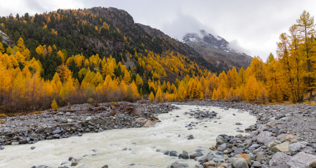 Wanderung im Schweizerischen Nationalpark und im Engadin (gdl_886110888_image) Wanderung im Schweizerischen Nationalpark und im Engadin (gdl_886110888_image)