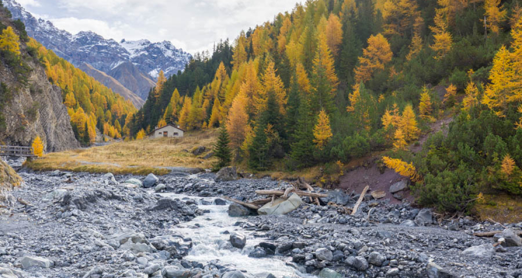 Wanderung im Schweizerischen Nationalpark und im Engadin (gdl_886110889_image) Wanderung im Schweizerischen Nationalpark und im Engadin (gdl_886110889_image)