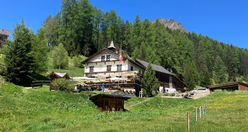 Genusswoche. Mittagessen im Hof Zuort. (gdl_888593471_image) Genusswoche. Mittagessen im Hof Zuort. (gdl_888593471_image)